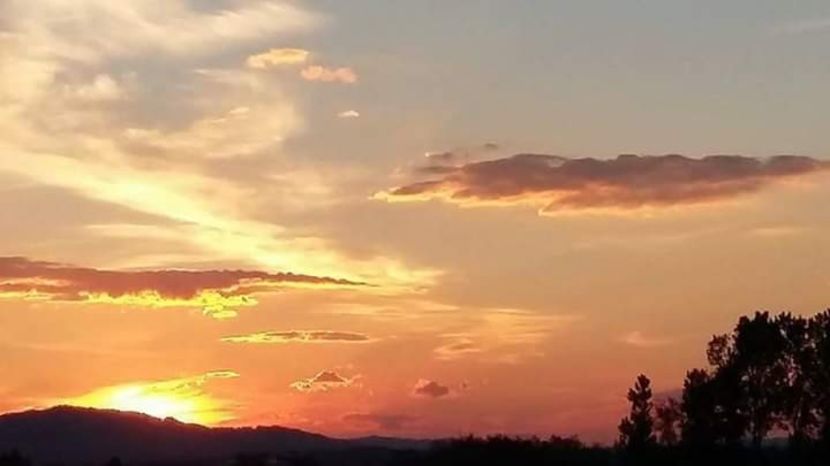  - - O - Fotografii x