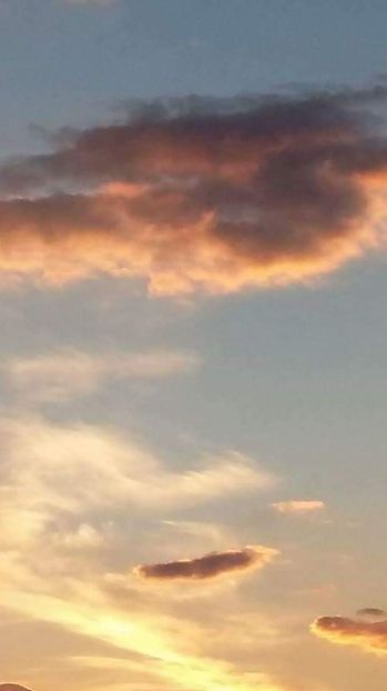  - - O - Fotografii x