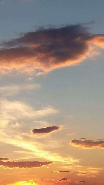  - - O - Fotografii x