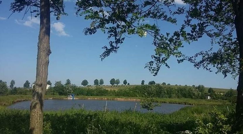  - - O - Fotografii x