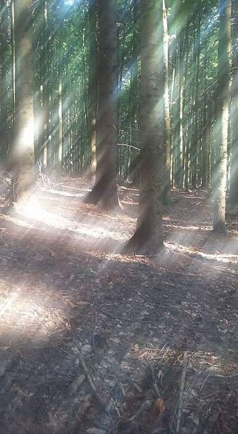  - Fotografii x