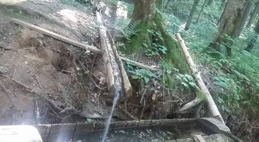  - - O - Fotografii x