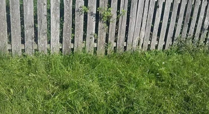  - - O - Fotografii x