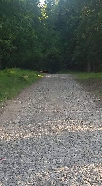  - - O - Fotografii x