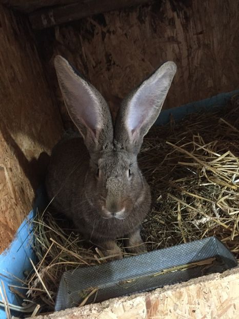 C370DAEA-EA79-4595-80E5-F5738B542D67 - RO 8-119103