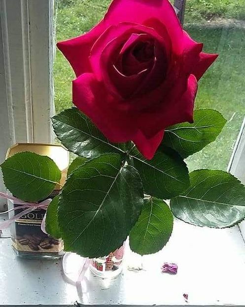  - - O - Fotografii x