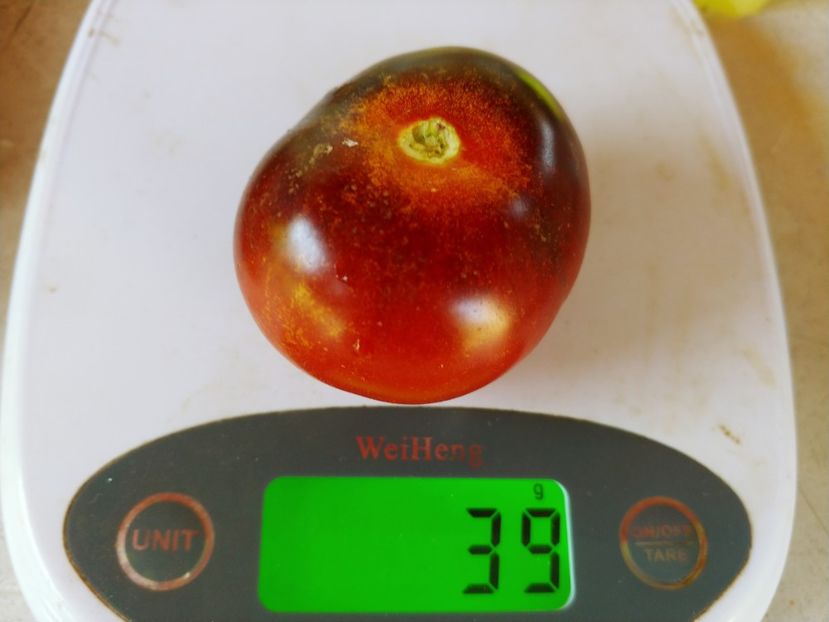 CHERRY BING WING 05.08 (7) - CHERRY BING WING