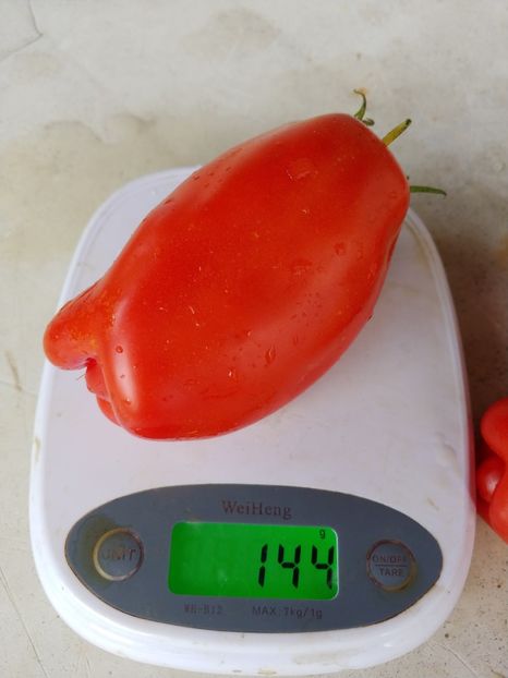 CORNO DE ANDES  (9) - CORNO DE ANDES 2018