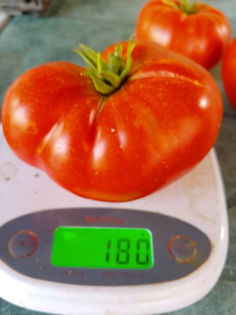 COSMONAUT VOLKOV (17) - COSMONAUT VOLKOV