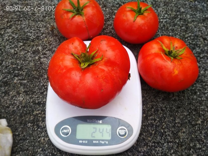 COSMONAUT VOLKOV (27) - COSMONAUT VOLKOV