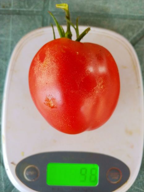 DE BARAO ROYAL (1) - DE BARAO ROYAL