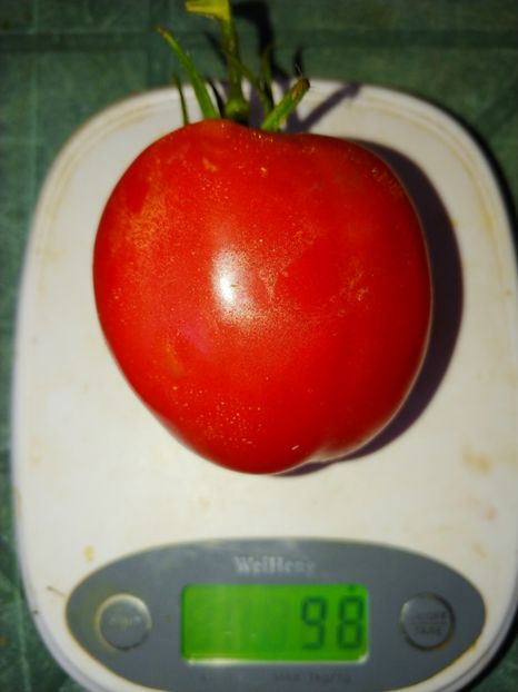 DE BARAO ROYAL (16) - DE BARAO ROYAL