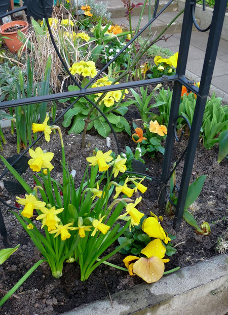  - 2020 - 01 - Primavara