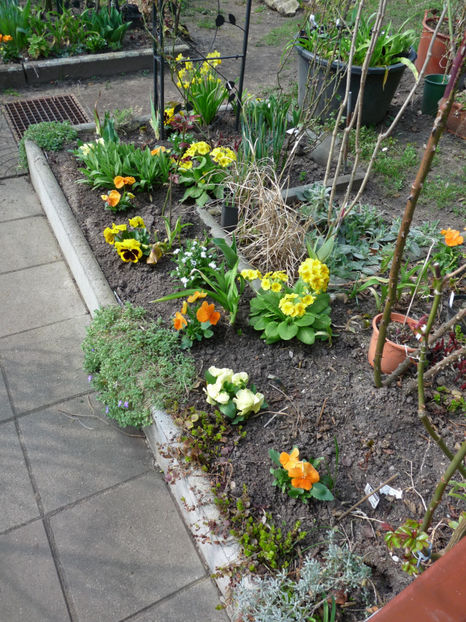  - 2020 - 01 - Primavara