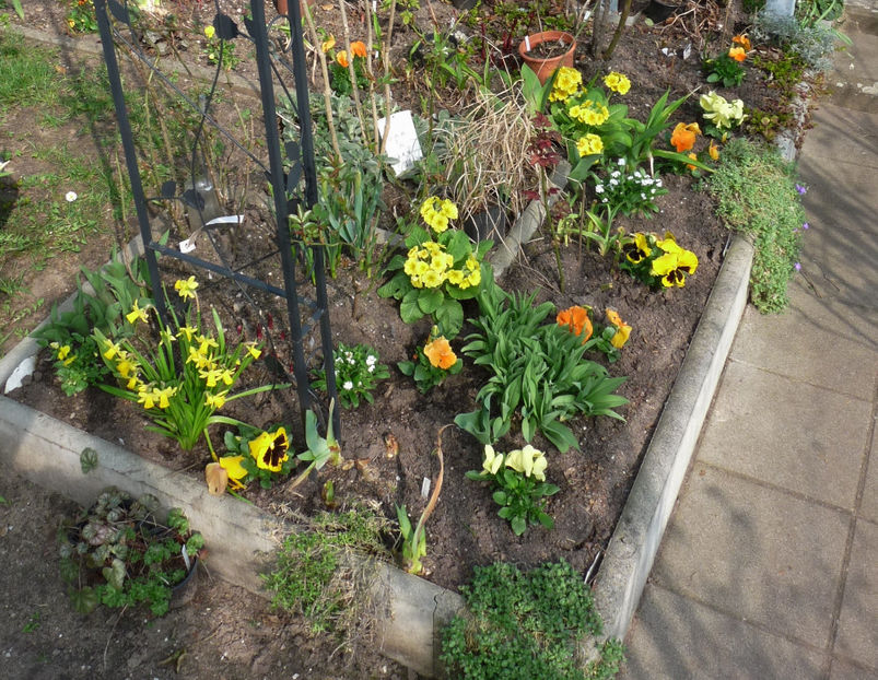  - 2020 - 01 - Primavara