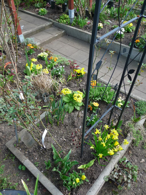  - 2020 - 01 - Primavara