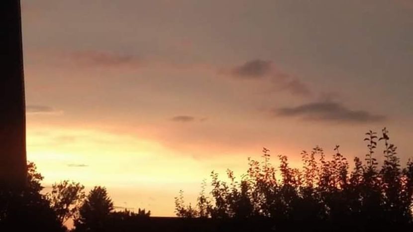  - - O - Fotografii x