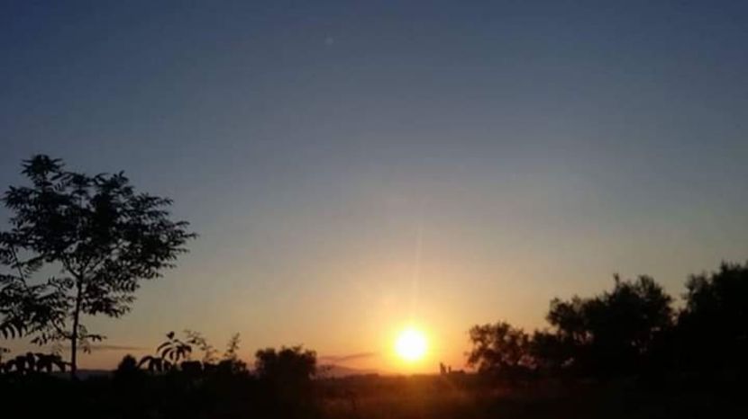  - - O - Fotografii x