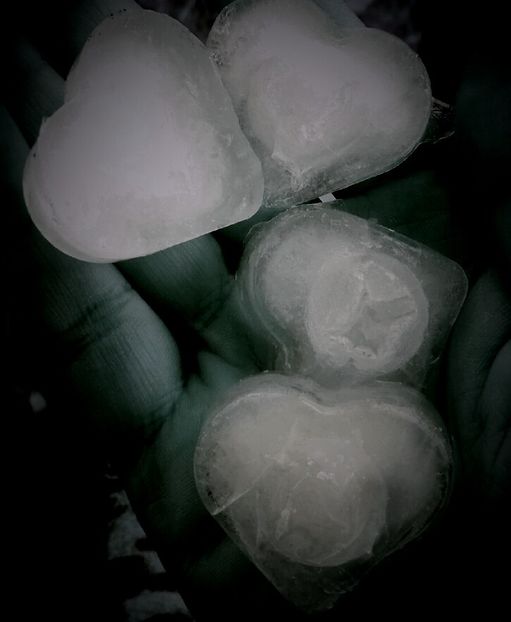 Ice Heart -2020 - Fotografii x
