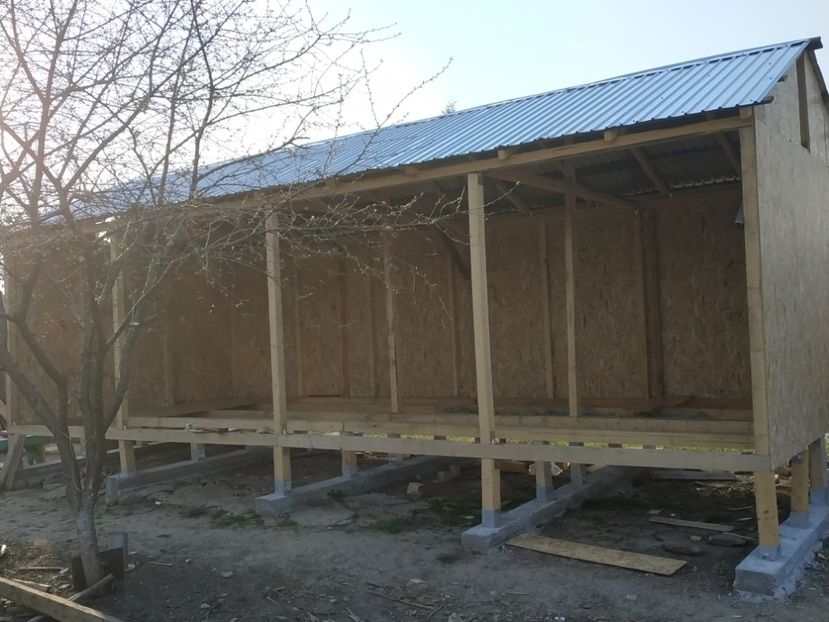  - Volieră nouă 2020