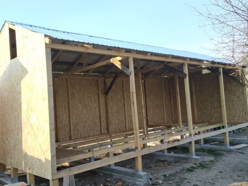  - Volieră nouă 2020