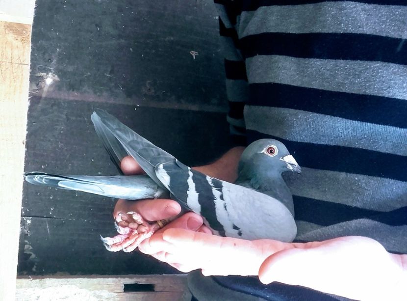 20200317_132443~2 - 2020