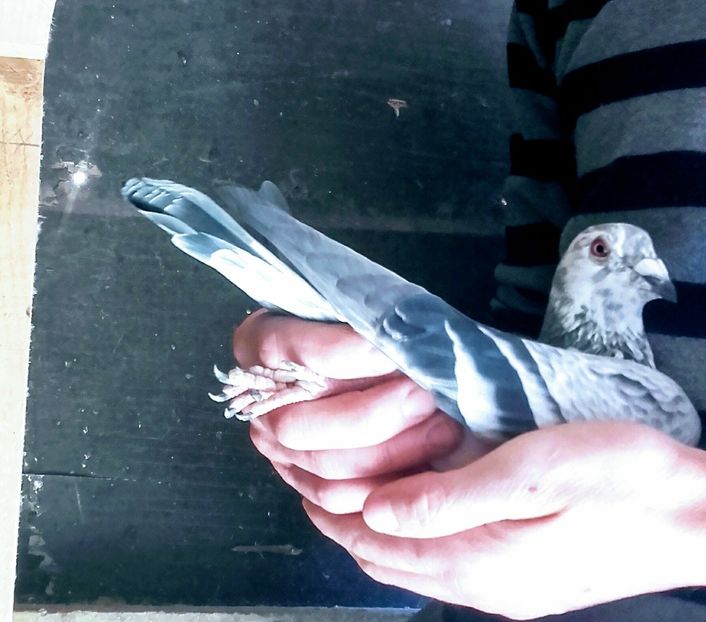 20200317_132535~2 - 2020