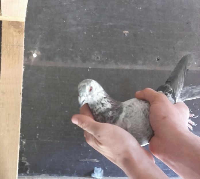 20200317_132614~2 - 2020