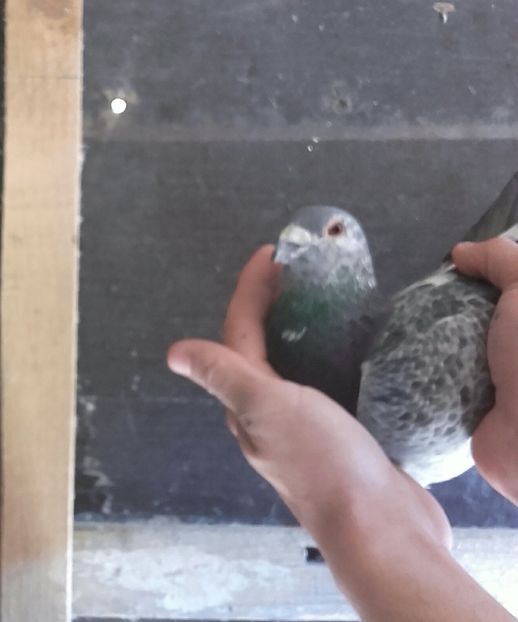 20200317_132635~2 - 2020