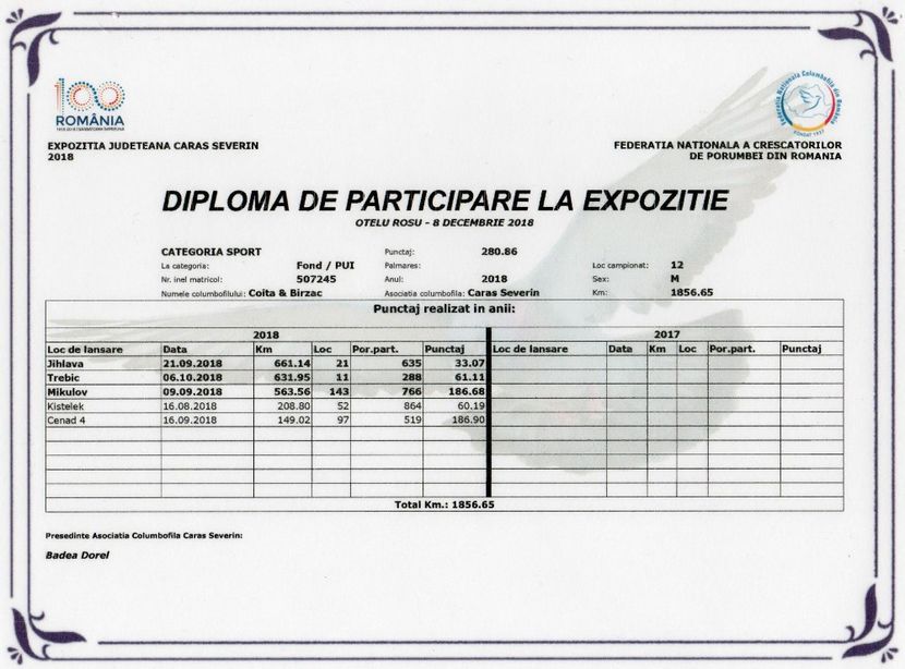 Ciocanita 507245-2018 - Diplome si rezultate