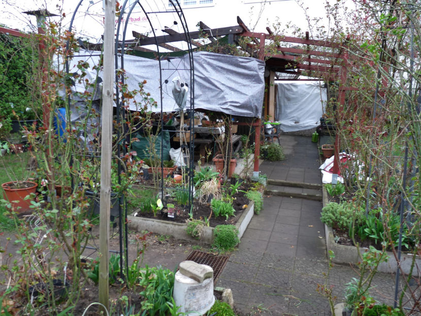  - 2020 - 01 - Primavara