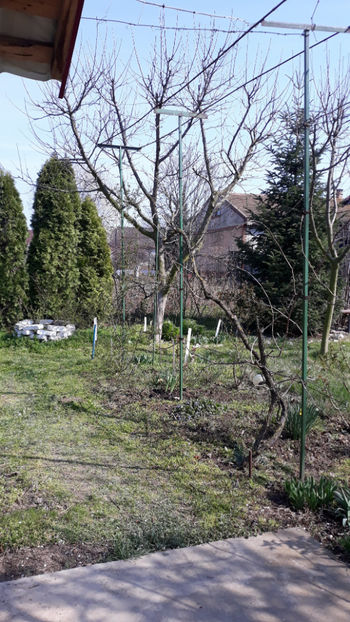  - Gradina primavara 2020