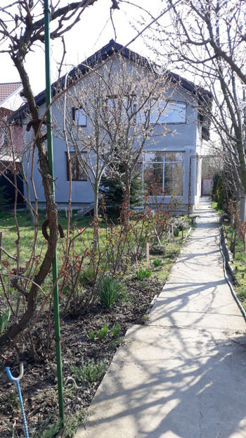  - Gradina primavara 2020