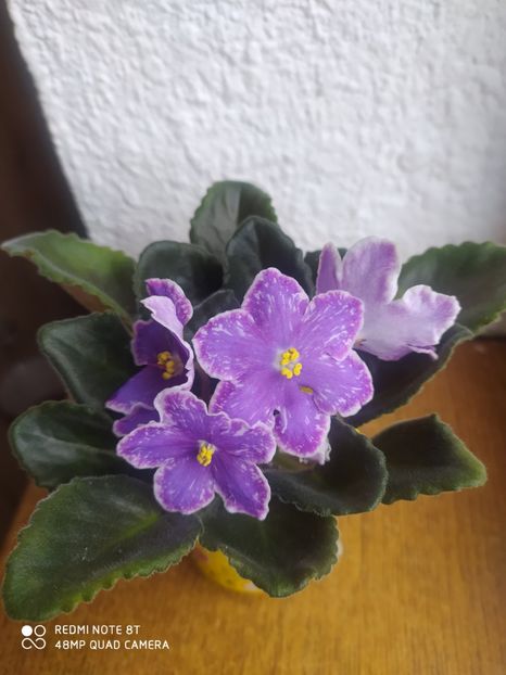 23 martie 2020 - ZZZ_DS Izium