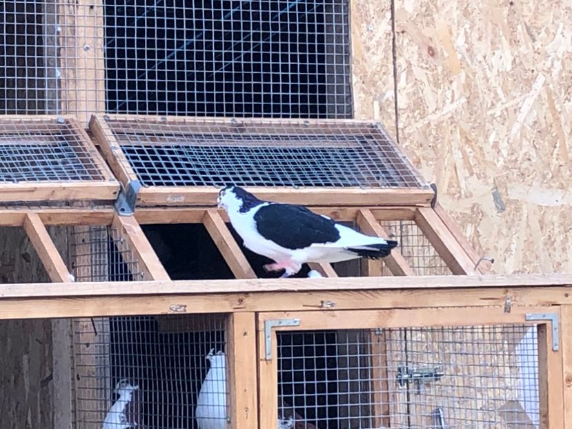  - 00000001 pe afară