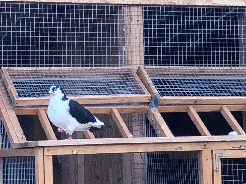  - 00000001 pe afară