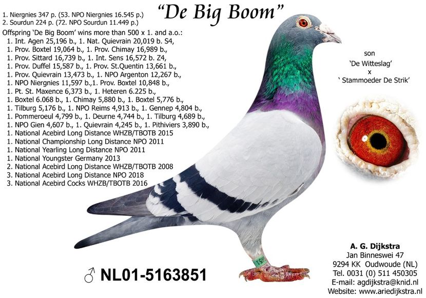  - NL 2019 1183613 - New Picasso