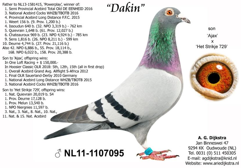 NL19-1183613_extra1 - NL 2019 1183613 - New Picasso