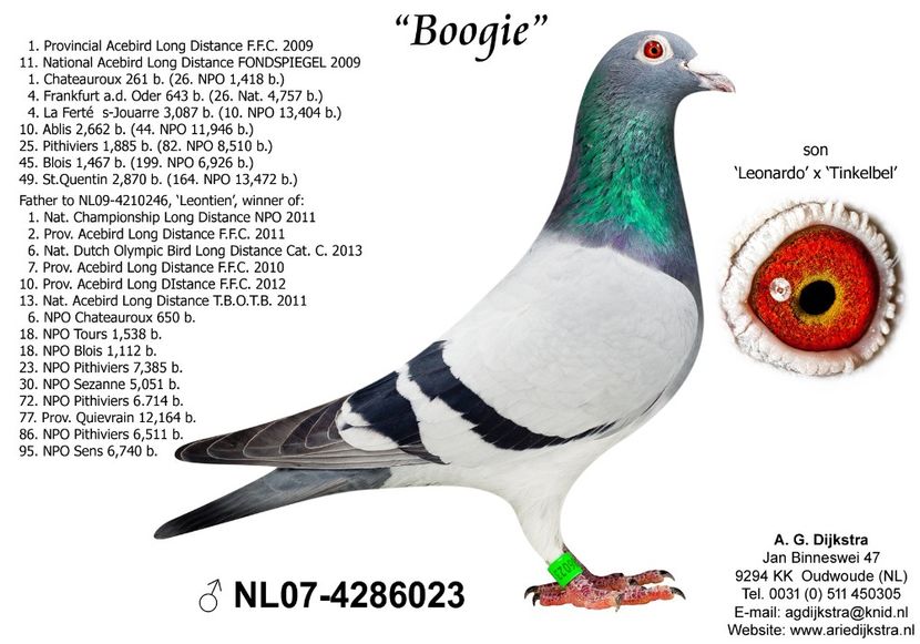  - NL 2019 1183613 - New Picasso