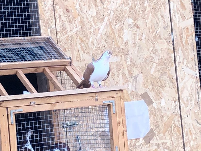  - 00000001 pe afară