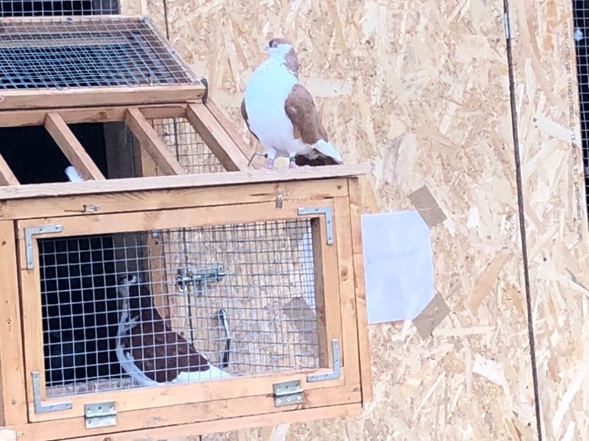  - 00000001 pe afară