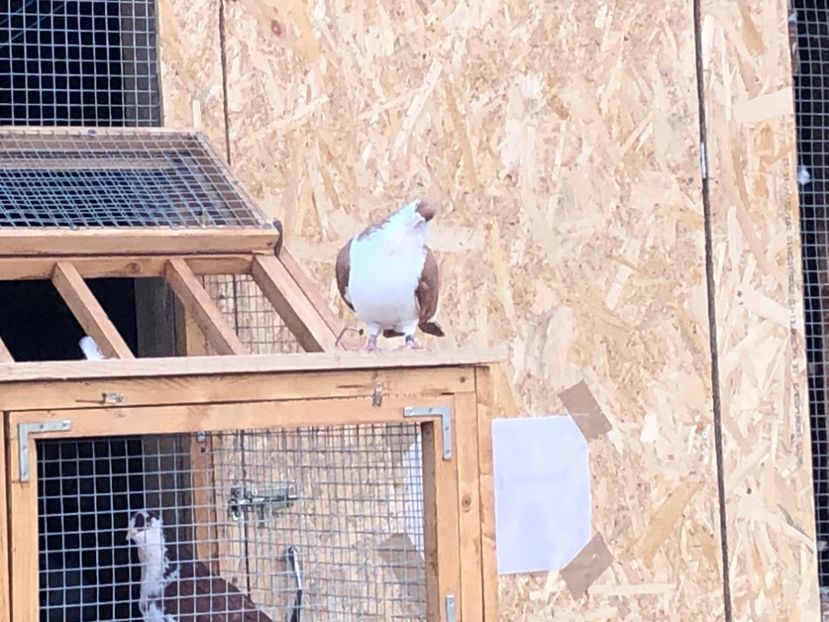  - 00000001 pe afară