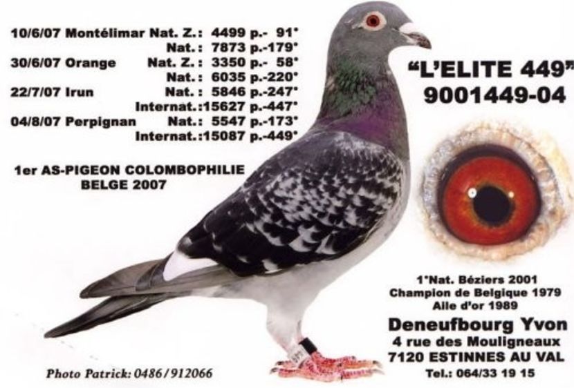 deneuf7CARTEUS 449 - linia super fred-special one !