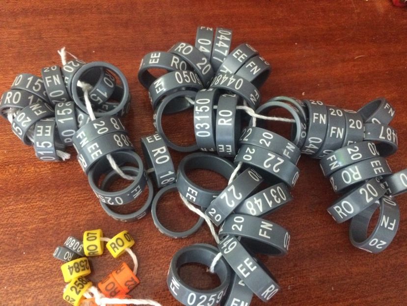  - 4- adaposturi si accesori