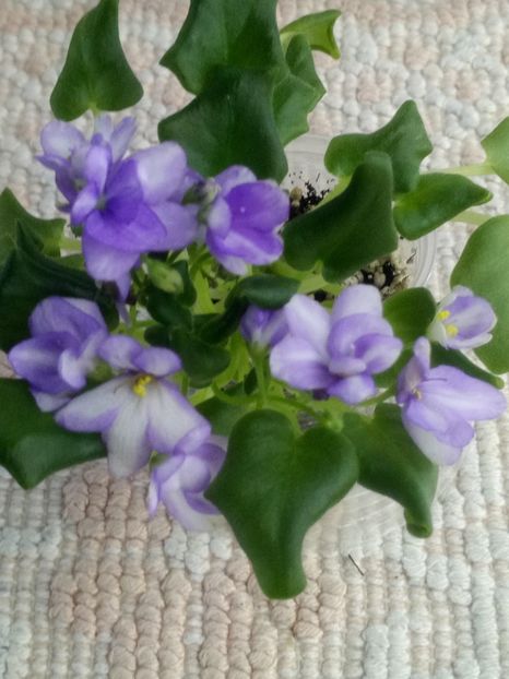 22 mar - Rob s Humpty Doo