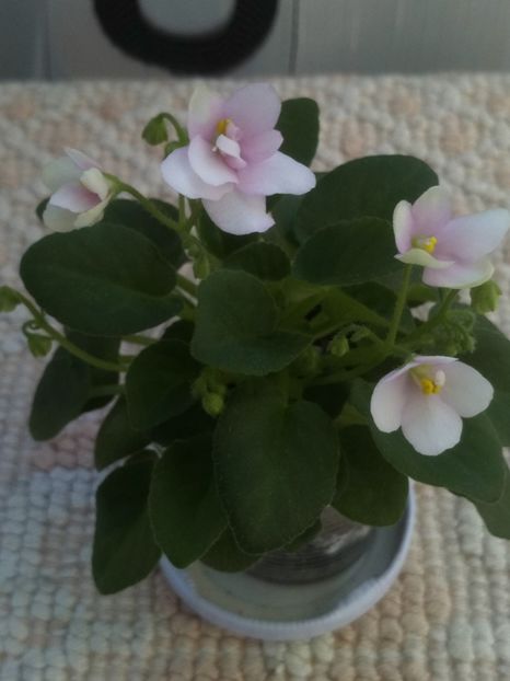 16 mar - ZZ Milky Way Trail