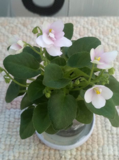 16 mar - ZZ Milky Way Trail