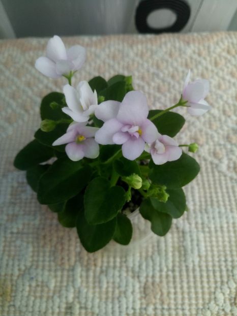 22 mar - ZZ Milky Way Trail