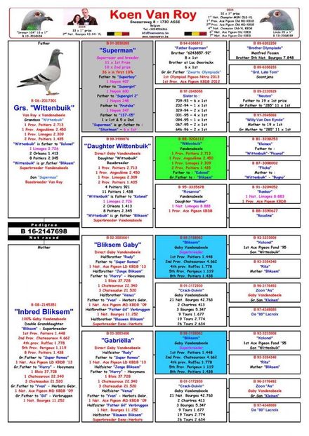 16-2147698-page-001 vandenabele-koyen  roy - vandenabele