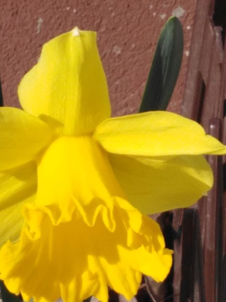  - dragostea  de natura